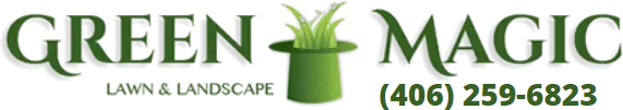 Green Magic Green Magic