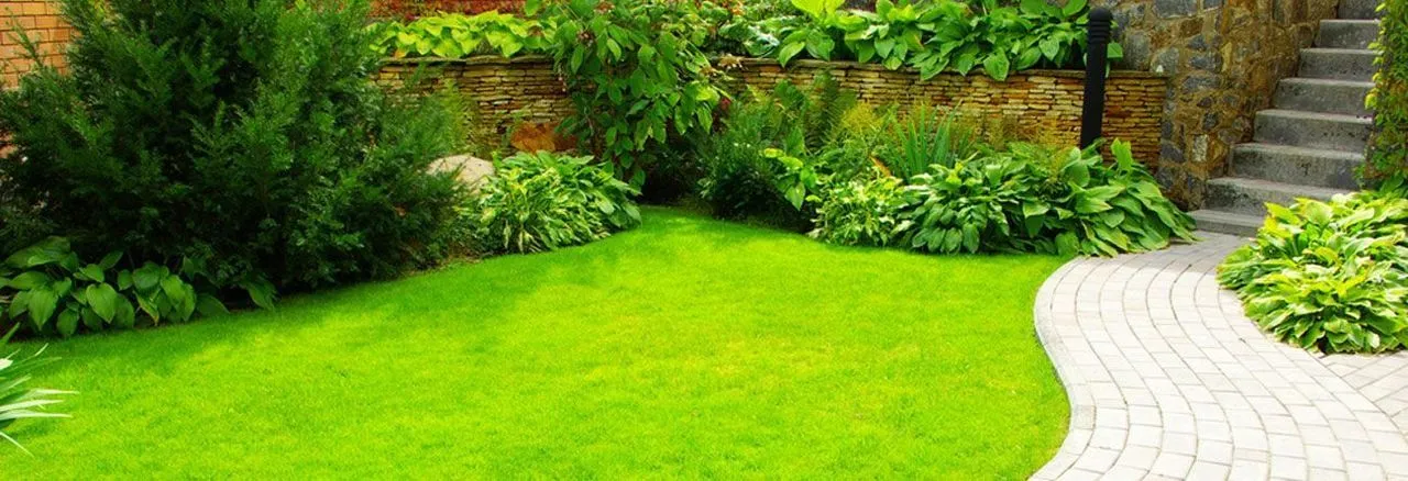 A vibrant green lawn in a backyard garden, featuring a curved stone path leading to stairs and lush surrounding greenery.