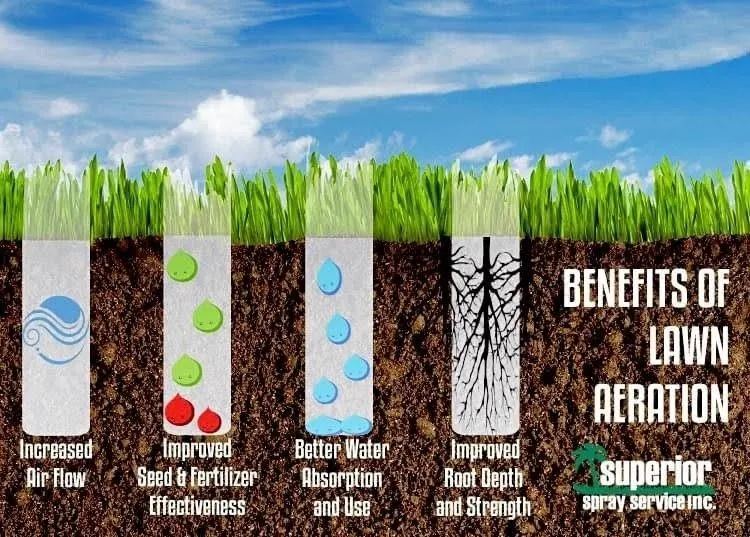 Infographic showing lawn aeration benefits: better air flow, fertilizer effectiveness, water absorption, and root growth.