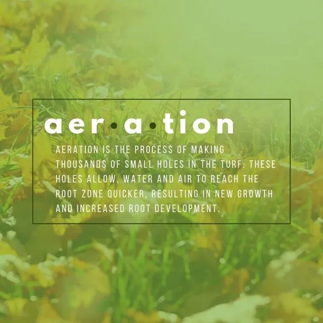 Text over a background of grass and leaves defines aeration as creating holes in turf to improve water and air access.