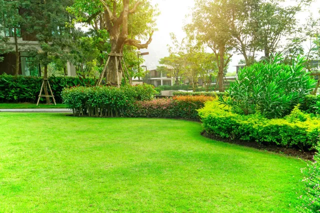 Sunny park lawn with green grass, shrubs, and trees near a building