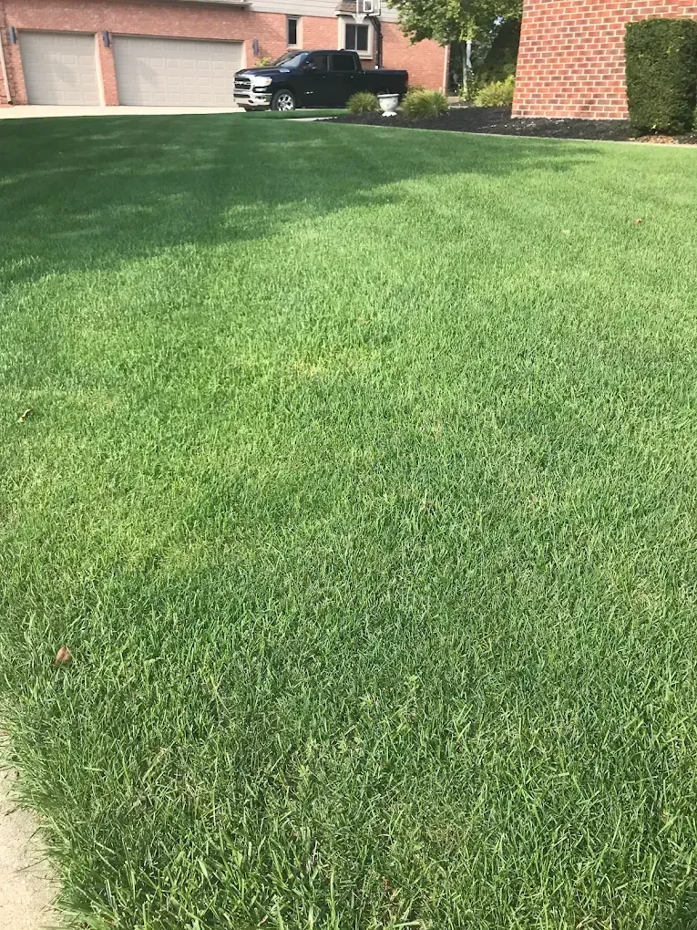 Well-maintained green lawn outside a Billings home