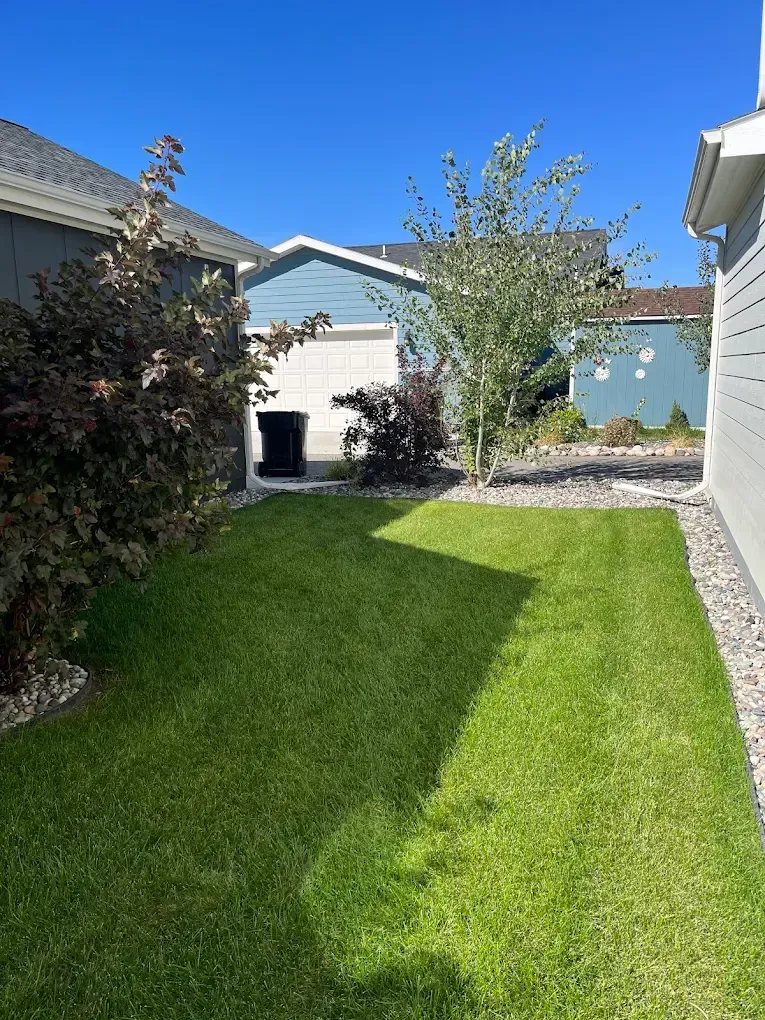 Healthy green residential lawn in Billings, MT following professional lawn care Healthy green residential lawn in Billings, MT following professional lawn care
