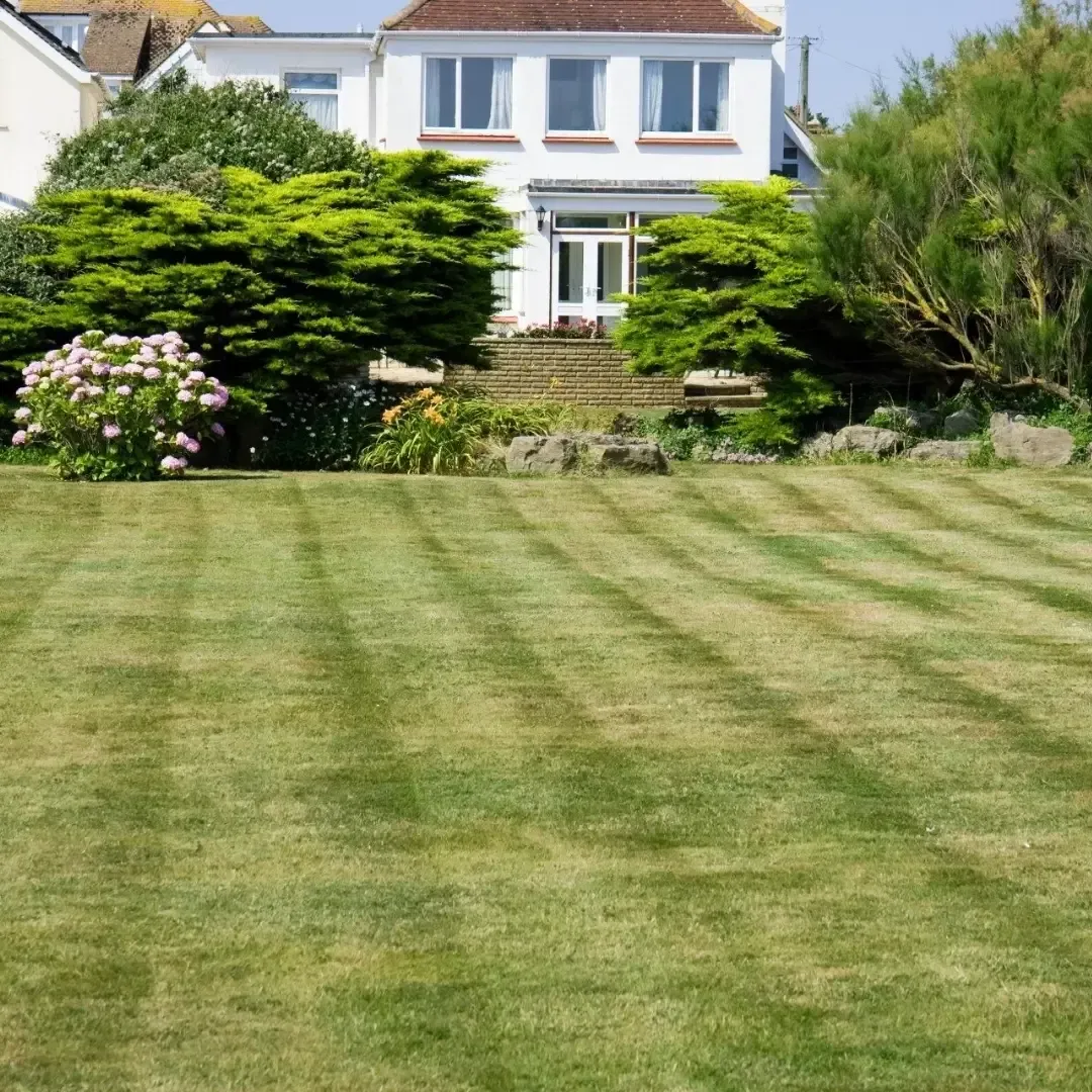 Lawn leading to a white house with trees and shrubs in the garden