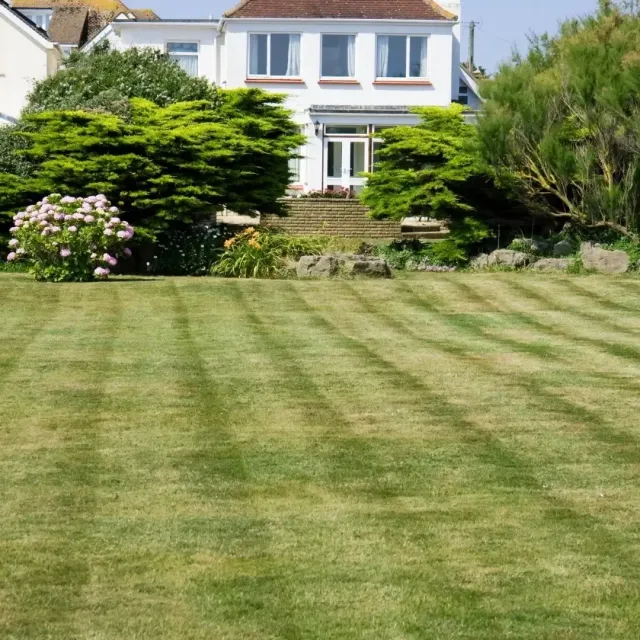 Lawn leading to a white house with trees and shrubs in the garden