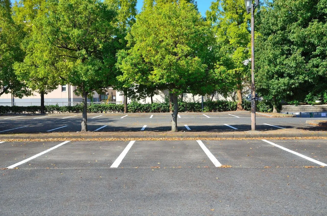 An empty asphalt parking lot with white marked spaces bordered by lush green trees on a sunny day.